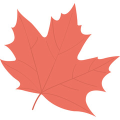 Maple Leaf Flat Icon