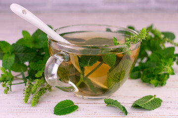 Mint tea from fresh mint leaves in a transparent cup.Close-up.

