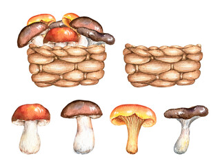 Watercolor forest mushrooms, wicker basket clipart set. Hand painted illustration isolated on white background. Fall kids design for poster, print, postcard