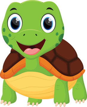 Cartoon Happy turtle isolated on white background