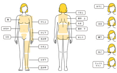 女性の脱毛イラスト　全身と顔