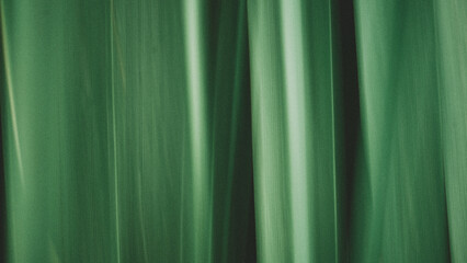 Composición de color verde con hojas de plantas diversas en jardín público y de con luz de día. - obrazy, fototapety, plakaty