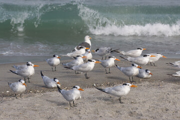 A winter day at the beach at Indialantic Florida