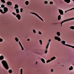 Naklejka premium Scientific image of 3D bacteria Citrobacter, Gram-negative bacteria from Enterobacteriaceae family, illustration. Found in human intestine, can cause urinary infections, infant meningitis and sepsis