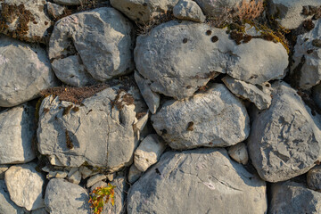 the texture of the stone wall on which orange-green moss grows.