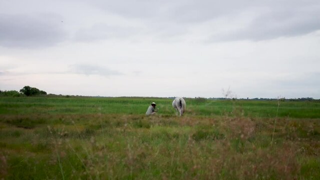 slow motion video A wide open field where a woman in a straw hat sits taking a selfie with her smartphone and a white horse grazing.