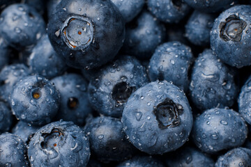 Drops of water on a ripe sweet blueberry. Fresh blueberry background with copy space for text. Vegan and vegetarian concept. Macro texture of blueberry berries. Texture of blueberry berries close-up
