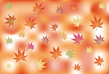 フレーム素材　鮮かで可愛い紅葉したモミジ