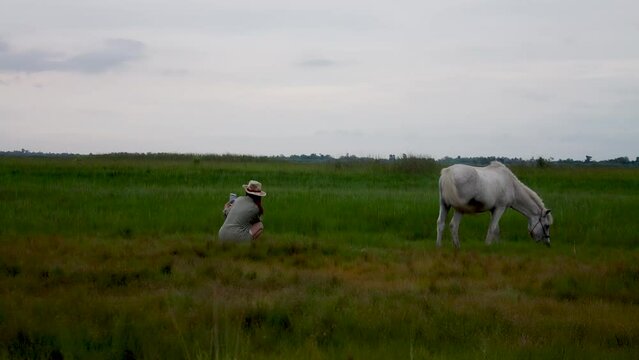 slow motion video A wide open field where a woman in a straw hat sits taking a selfie with her smartphone and a white horse grazing.