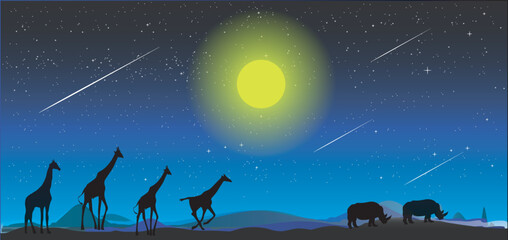 safari theme, giraffe standing on the night , the beautiful moon shines surrounded by starry sky. Kenya Safari.Amazing creatures around the world concept. © Mohwet
