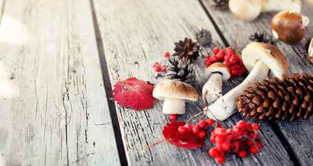 Autumn fall background with mushrums and berries over wooden rustick table