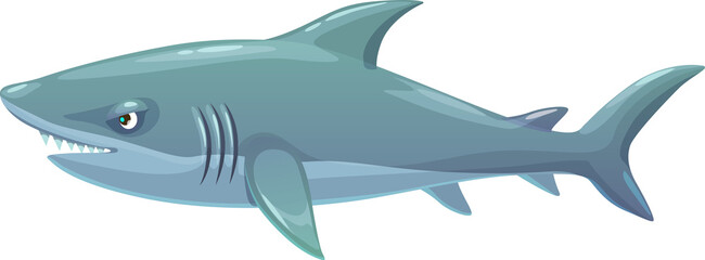 Shark underwater animal, isolated vector predator