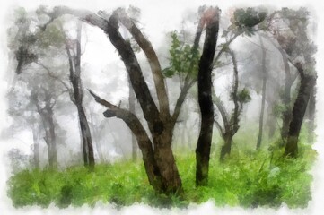 Fototapeta premium landscape of mountains forests trees and fog watercolor style illustration impressionist painting.