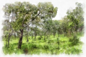 landscape of mountains forests trees and fog watercolor style illustration impressionist painting.