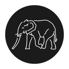 African elephant color line illustration
