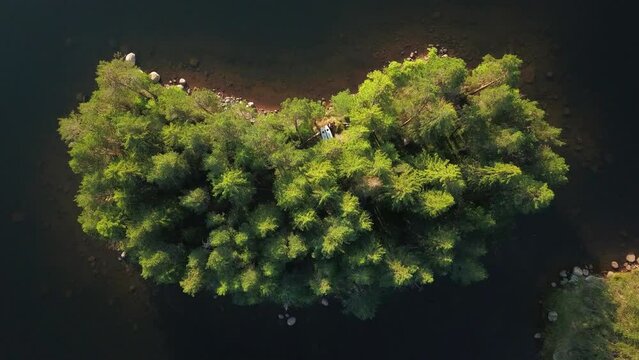 Evergreen Coniferous Trees And Placid Freshwater Of Shiroka Polyana Resource In Bulgaria. High Angle- Ascending Shot