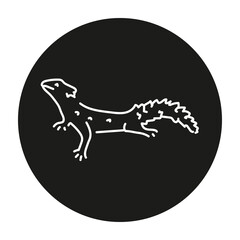 Lizard color line illustration