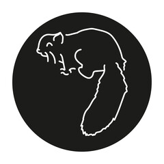 Australian flying squirrel color line illustration. Animals of Australia