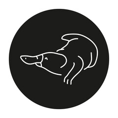 Australian platypus color line illustration. Animals of Australia