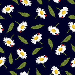 Chamomile seamless pattern with leaves and ladybugs