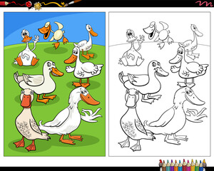 cartoon ducks birds farm animal characters coloring page