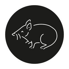 Proboscis couscous color line illustration. Animals of Australia