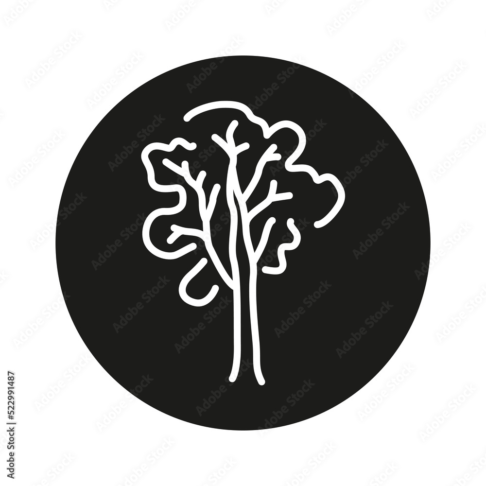 Poster ash tree color line icon. pictogram for web page