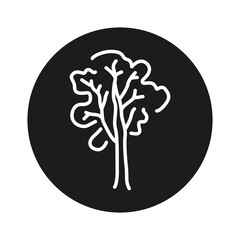 Ash tree color line icon. Pictogram for web page