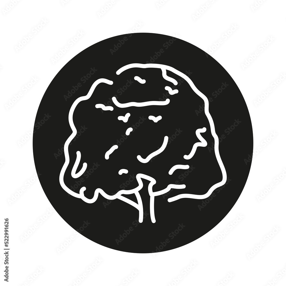 Poster beech tree color line icon. pictogram for web page