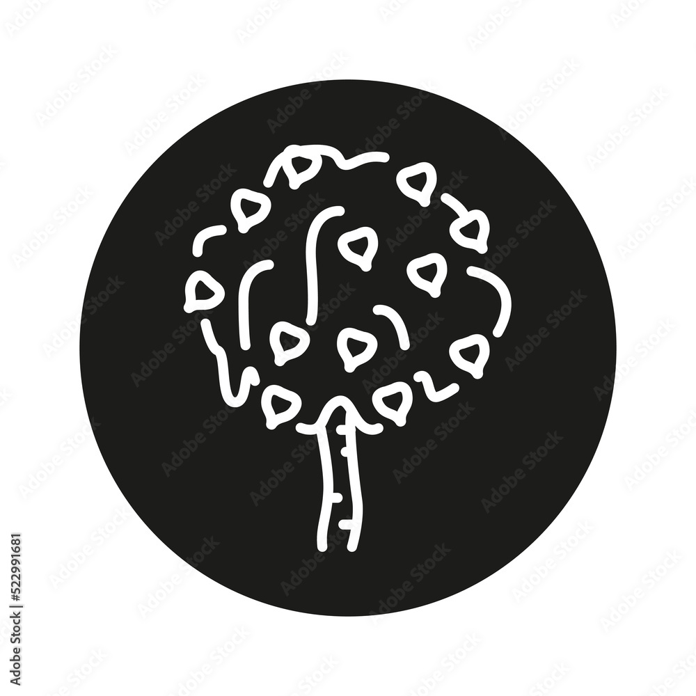 Poster birch tree color line icon. pictogram for web page