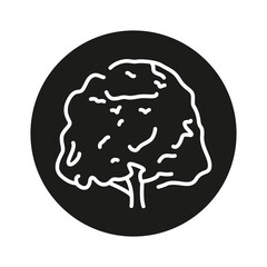 Beech tree color line icon. Pictogram for web page