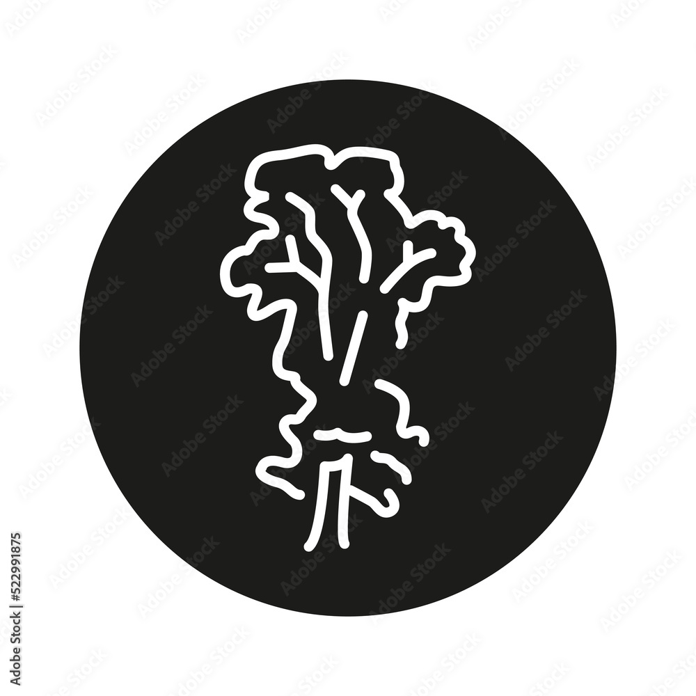 Poster elm tree color line icon. pictogram for web page