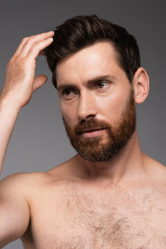 Portrait Of Man With Beard Adjusting Brown Hair Isolated On Grey.