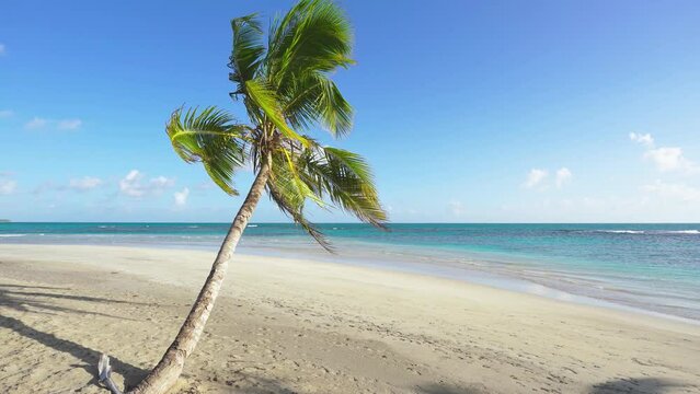 Blue sea and beautiful beach with palm trees. Sea coast of a tropical island. Empty white sand beach. Sand and sea on a sunny day. Camera no movement.