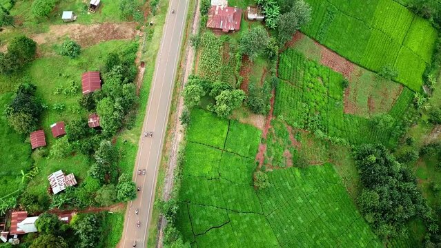 Traffic Along The Country Road Passing By Plantations In The Highland Village In Kenya, East Africa. Aerial Drone Shot