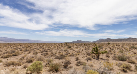 Fototapeta na wymiar Desert Scene in American Nature Landscape. Cathedral Gorge State Park, Panaca, Nevada, United States of America. Background