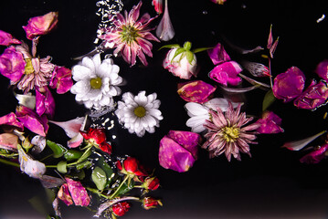 flowers in water on a black background