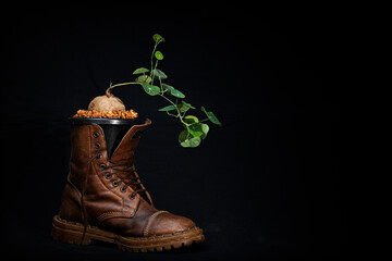 Plant the plants in the boots.