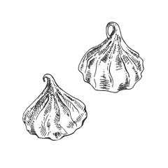 hand drawn vector french meringue protein illustration