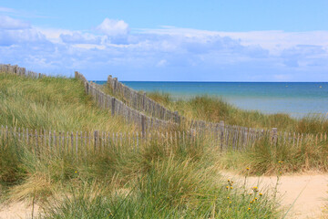 Fototapeta na wymiar dunes sur le rivage