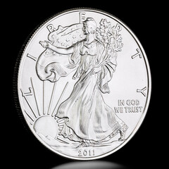 2011 Silver Eagle Dollar Obverse