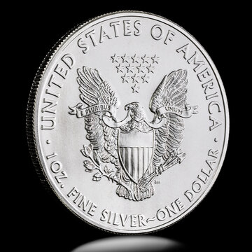 2011 Silver Eagle Dollar Reverse