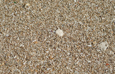 rocks and white sand on a tropical beach
