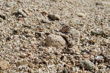 rocks and white sand on a tropical beach