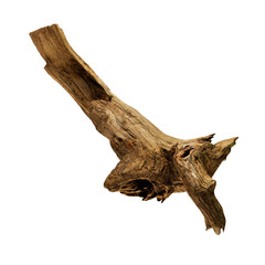 Tree Branch Dried Brown Isolated on Transparent Background