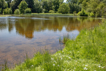 Fototapeta na wymiar Summertime lake in the UK.