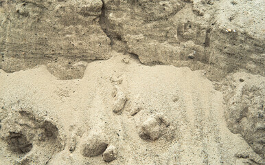 Sand for construction