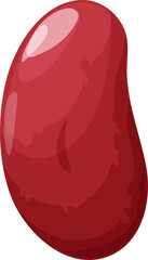 Red bean, vegetable seed, kidney or haricot bean