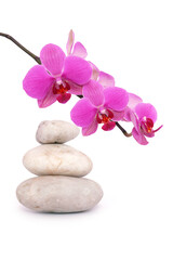 Pink orchid flowers and spa stone isolated on white.