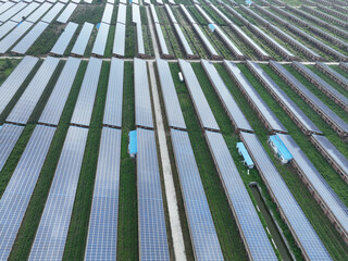 solar panels with farm